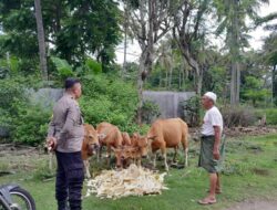 Polri Aktif Dukung Ketahanan Pangan Lombok Barat: Edukasi Pertanian untuk Warga
