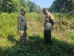 Polsek Kediri Tingkatkan Ketahanan Pangan Melalui Sosialisasi di Desa Montong Are