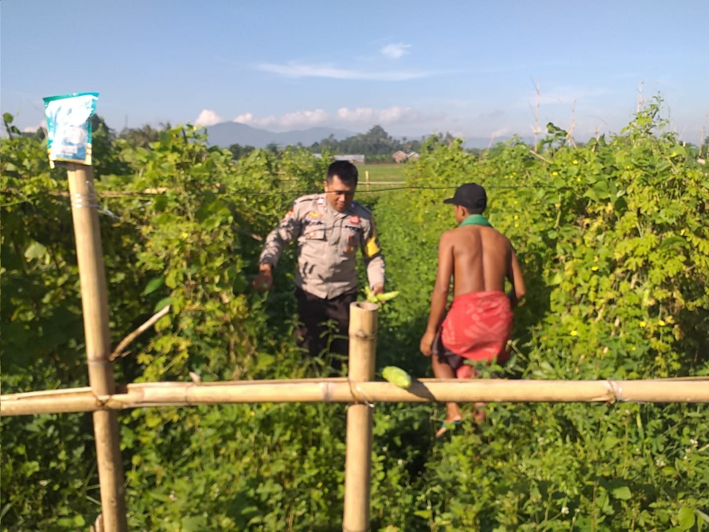 Polsek Kuripan Dukung Ketahanan Pangan Nasional, Bhabinkamtibmas Jalin Sinergi dengan Warga