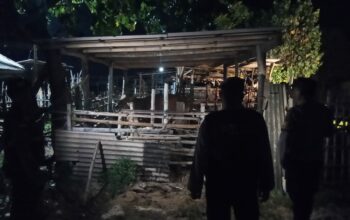 Polsek Sekotong Intensifkan Patroli Malam, Sasar Kandang Ternak Cegah Kejahatan