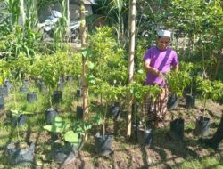 Polsek Batulayar Dukung Ketahanan Pangan Lewat Sosialisasi Langsung ke Warga