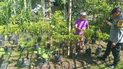 Polsek Batulayar Dukung Ketahanan Pangan Lewat Sosialisasi Langsung ke Warga