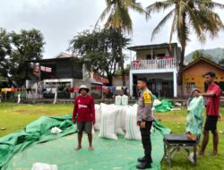Bhabinkamtibmas Desa Sawe Pantau Proses Penjemuran Jagung sebagai Dukungan Ketahanan Pangan Nasional