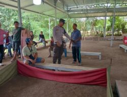 Polsek Moyo Hilir Grebek Dan Bubarkan Judi Sabung Ayam