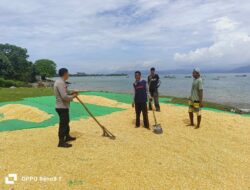 Pemantauan Proses Penjemuran Jagung oleh Bhabinkamtibmas Desa Hu’u dalam Mendukung Program Ketahanan Pangan Nasional