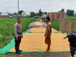 Pemantauan Hasil Jagung Milik Bapak Ilham dalam Mendukung Program Ketahanan Pangan Nasional Menuju Indonesia Emas 2045
