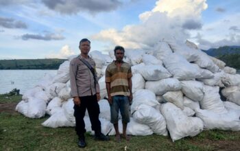Pemantauan Panen Jagung oleh Bhabinkamtibmas Desa Mbuju dalam Rangka Mendukung Program Ketahanan Pangan Nasional