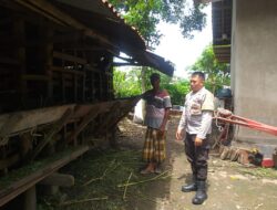 Bhabinkamtibmas Proaktif Dorong Ketahanan Pangan Warga di Kuripan