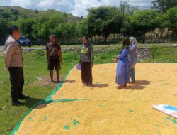 Bhabinkamtibmas Marada Kawal Pengeringan Jagung Warga, Dukung Ketahanan Pangan Nasional