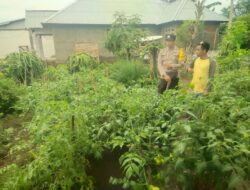 Bhabinkamtibmas Desa Lasi Dukung Pemanfaatan Lahan Pekarangan untuk Ketahanan Pangan Masyarakat