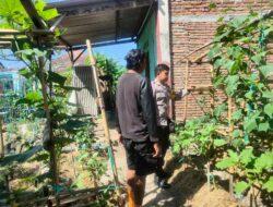 Dorong Ketahanan Pangan, Bhabinkamtibmas Desaloka Dampingi Warga Kelola Lahan Pangan Bergizi