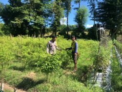 Dorong Kemandirian Pangan, BKTM Katua Bina Warga Kembangkan Kebun Sayur di Pekarangan