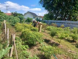 Dukung Program Ketahanan Pangan, Bhabinkamtibmas Desa Kiantar Dampingi Pengelolaan Pekarangan Pangan Bergizi