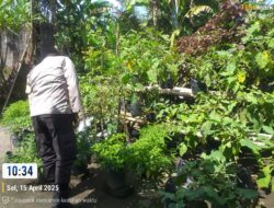 Polsek Kuripan Dukung Ketahanan Pangan Warga Desa Jagaraga