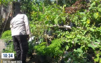 Bhabinkamtibmas Kuripan Aktif Sosialisasikan Program Pangan