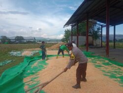 Dorong Ketahanan Pangan, Bhabinkamtibmas Doromelo Pantau Pemanfaatan Lahan Pertanian