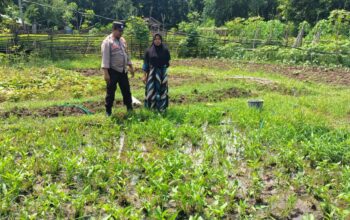 Bhabinkamtibmas Desa Baka Jaya Pantau Lahan Hortikultura Dukung Program Ketahanan Pangan Nasional