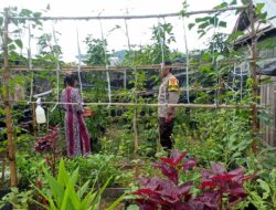 Tingkatkan Ketahanan Pangan, Bhabinkamtibmas Desa Beru Aktif Dampingi Masyarakat Manfaatkan Pekarangan Rumah
