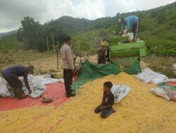 Dukung Ketahanan Pangan, Bhabinkamtibmas Desa Ranggo Pantau Penggilingan Jagung Petani
