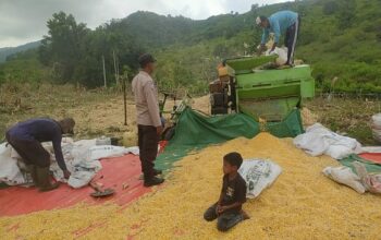 Dukung Ketahanan Pangan, Bhabinkamtibmas Desa Ranggo Pantau Penggilingan Jagung Petani