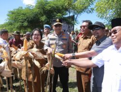 Kapolda NTB Dampingi Mentan RI Panen Raya Jagung di Sumbawa