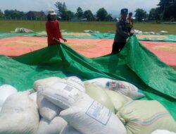 Bhabinkamtibmas Desa Daha Pantau Penjemuran Jagung Milik Warga Dukung Ketahanan Pangan Nasional