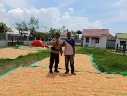 Menyukseskan Program Ketahanan Pangan Nasional, Bhabinkamtibmas Polsek Woha Bantu Proses Pengeringan Jagung Warga Binaan