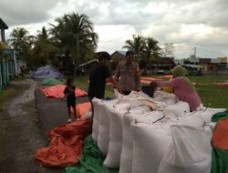 Ketahanan Pangan Nasional, Bhabinkamtibmas Polsek Soromandi Aktif Bantu Petani di Desa Binaannya