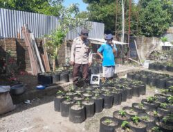 Upaya Bhabinkamtibmas Desa Kuripan Utara Tingkatkan Kemandirian Pangan Warga