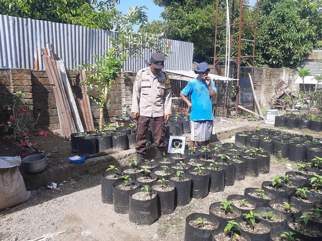 Meningkatkan Kemandirian Pangan: Bhabinkamtibmas Kuripan Utara Gelar Sosialisasi