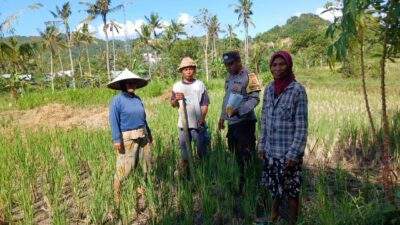 Bhabinkamtibmas Desa Giri Tembesi Dukung Ketahanan Pangan dengan Sambang ke Petani