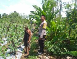 Bhabinkamtibmas Kuripan Dorong Ketahanan Pangan Lewat Pendampingan Warga