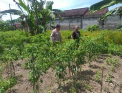 Peran Bhabinkamtibmas dalam Mendorong Ketahanan Pangan Desa