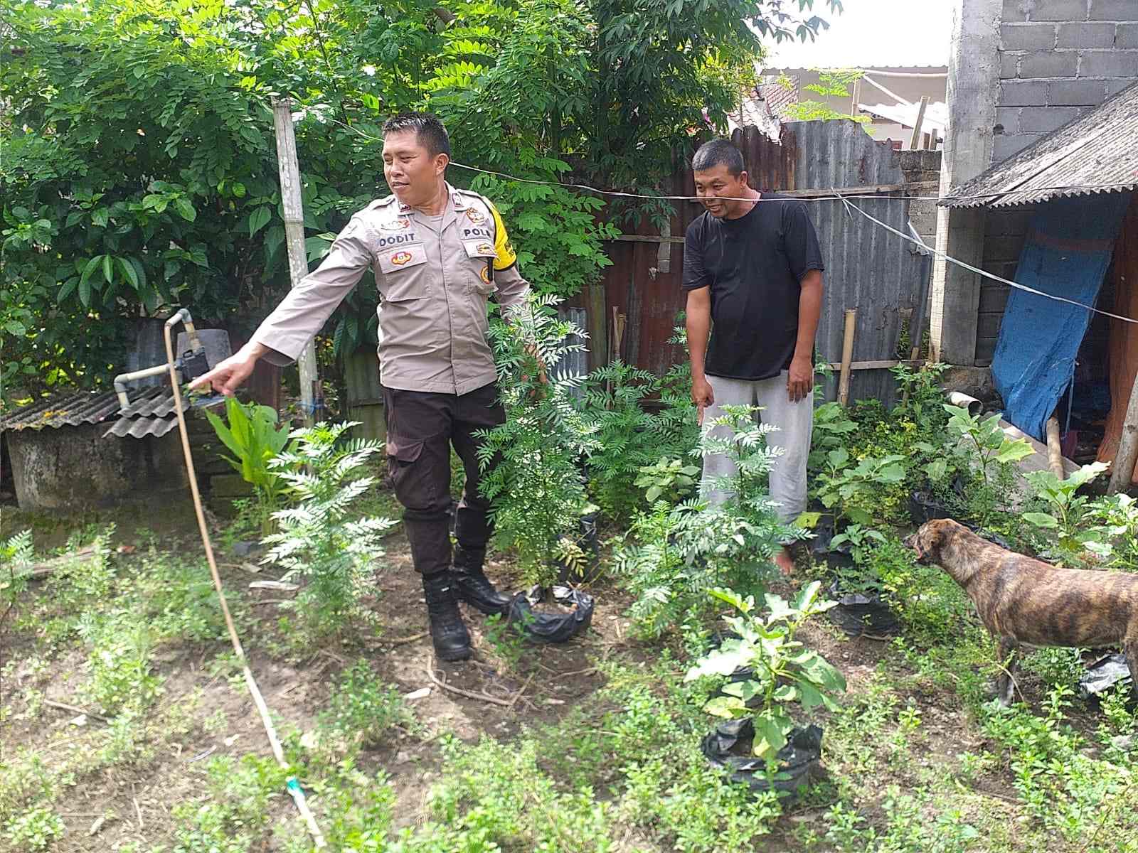 Polsek Kuripan Apresiasi Upaya Ketahanan Pangan Warga Jagaraga