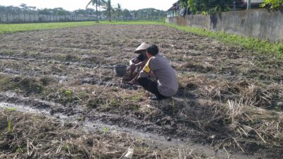 Bhabinkamtibmas Kuripan Dukung Ketahanan Pangan Lewat Pemanfaatan Pekarangan