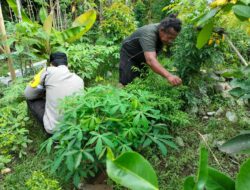 Polsek Labuapi Dorong Ketahanan Pangan Lewat Sinergi dengan Petani