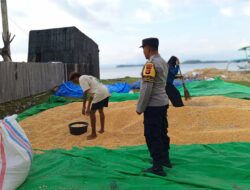 Polisi Sambangi Petani Jagung, Wujud Nyata Sinergi dan Keamanan Pangan