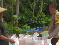 Sinergi Polri dan Petani Wujudkan Ketahanan Pangan di Sekotong