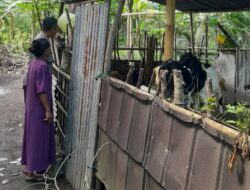 Sinergi Polri dan Warga Wujudkan Ketahanan Pangan di Lombok Barat