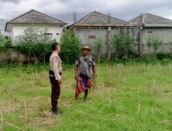 Polisi Dorong Ketahanan Pangan Desa Terong Tawah Lewat Pemanfaatan Pekarangan