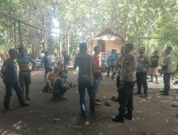 Polsek Plampang Bubarkan Aksi Sabung Ayam di Desa Pemasar