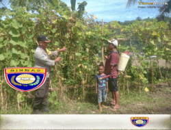 Bhabinkamtibmas Desa Rhee Motivasi Dan Ajak Warga Menanam untuk Ketahanan Pangan