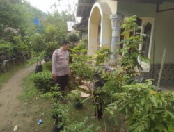 Bhabinkamtibmas Dukung Ketahanan Pangan Lewat Kunjungan DDS di Sekotong