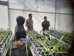 Polres Loteng dan Kodim 1620/Loteng Bersinergi Gelorakan Pekarangan Bergizi Dukung Ketahanan Pangan Nasional