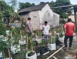 Polres Lombok Tengah Tinjau Pekarangan Bergizi Warga: Inspirasi Dukung Program Asta Cita Presiden