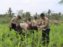 Polres Loteng Tinjau Lahan Jagung Warga, Perkuat Ketahanan Pangan Dukung Asta Cita Presiden RI