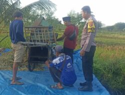 Polres Loteng Turun Langsung, Tinjau Panen Padi dan Perkuat Ketahanan Pangan Masyarakat. ‎