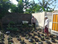 Polsek Kuripan Aktif Sosialisasi Ketahanan Pangan di Lombok Barat