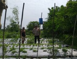 Peran Aktif Bhabinkamtibmas Dorong Ketahanan Pangan di Desa Jagaraga