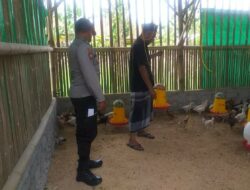 Bhabinkamtibmas Desa Jagaraga Dorong Ketahanan Pangan Lewat Peternakan Mandiri